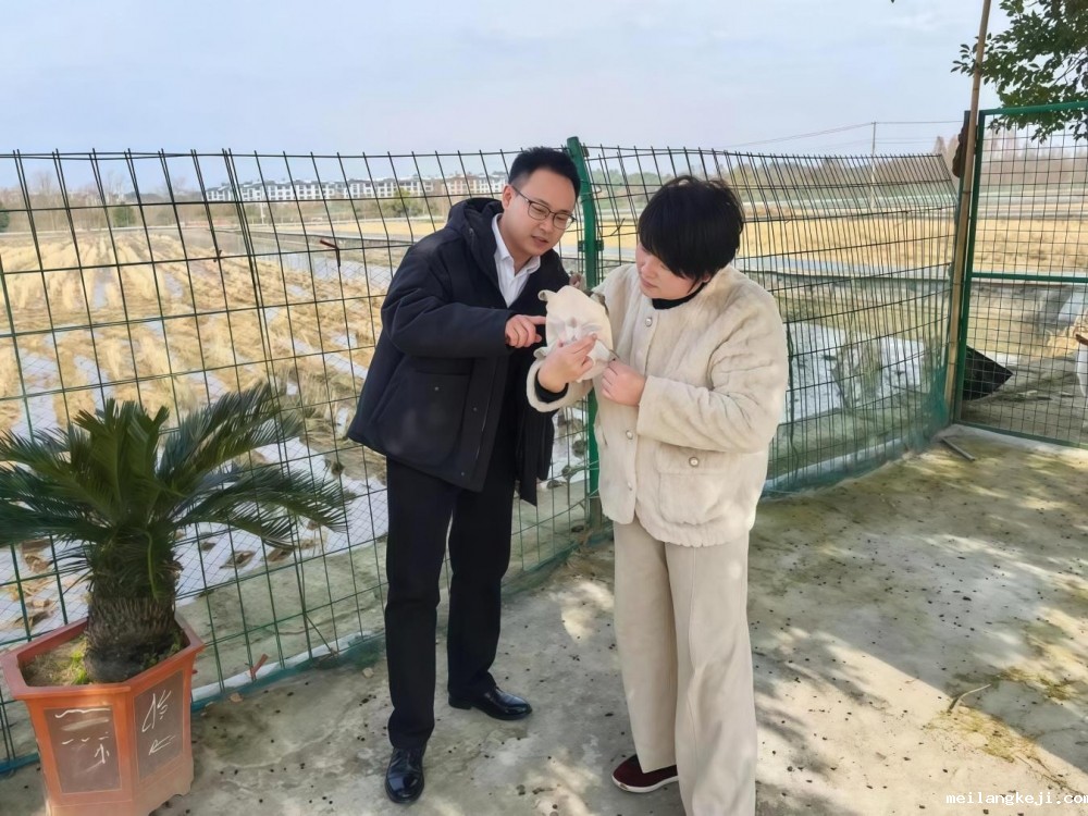 绿色贷款增速达21.78% 浙商银行连续9年发布可持续发展报告