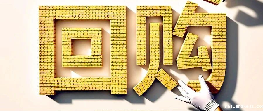A股进入回购新时代
