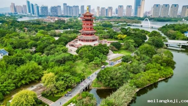 闪耀奔跑向未来 厦门国际银行厦门分行举办2025年健步行活动